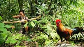 Persevering in Hiding Under the Bushes - Shooting Wild chickens/ Bushcraft & Survival Part 7