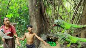 Survival skills-Man with woman found big iguana in the forest & take egg for cook -Eating delicious