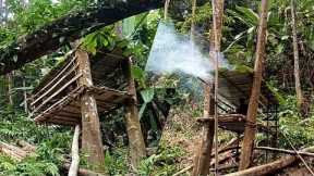 Building Complete Survival Tree House|| Survival skills, #treehouse #bushcraft #survivalskills