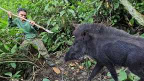 Wild boar trap skill, survival alone, survival instinct