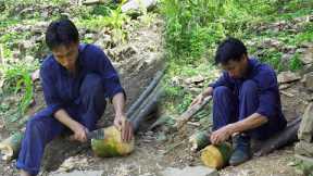 Survival Skills In The Rainforest, Bushcraft Survival, Primitive skills - #12