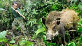 FULL VIDEO : 200 days of survival alone, spotting wild boars and crafting some primitive traps