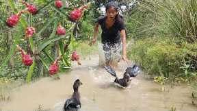 Catch water duck and Pick ripe dragon fruit for food in jungle - Survival skills in forest