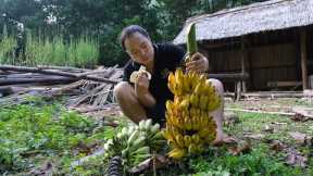 Enjoy delicious ripe BANANA, harvest the corn. Primitive Skills (ep185)