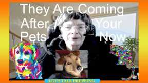 They Are Coming After Your Pets Now