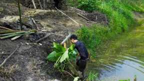 Survival Skills In The Rainforest, Bushcraft Survival, Primitive skills - Farm Building #4
