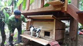 Green Forest Life - How To make a house for a puppy, Wild building farm life, Primitive Skills