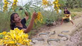 Natural sesbania flower and a lot fish to cook of survival food - Survival in forest