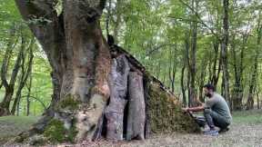 Building Bushcraft survival shelter with fireplace & Door And Roof With Tree Bark, Walls With Moss