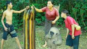 Survival skills-Man with womans found big eels with banana tree for cook -Eating delicious