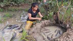 Pit fishing technical and fish grilled for dinner - Survival skills in jungle