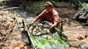 Top Videos Building Natural Fish Traps Under Streams Catching Many Fish, Survival Skills in The Wild