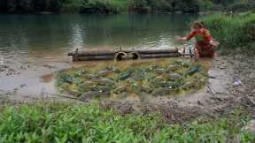 Survival Skills: Build Smart Fish Traps with Bamboo Tubes, Catch Many Carp, Carp Breeding Season
