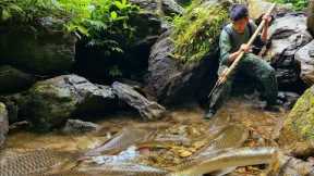 Survival skills, skills to catch fish with bare hands, living alone in the forest