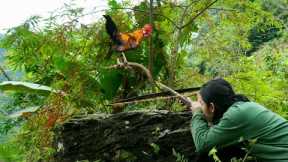 skills, shooting wild chickens, survival alone, survival instincts