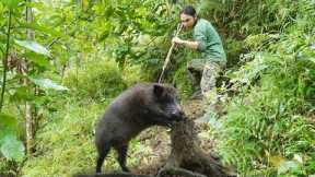Detecting boar footprints, skills, to set traps to bring back to raise, survival alone