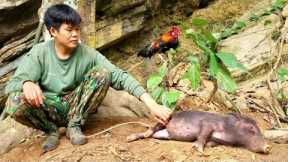 Survival skills, finding food for wild boars, wild chickens, surviving alone, survival instincts