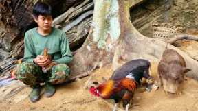 Survival, skills, skills to trap wild chickens, survive in the forest, find food for wild boar