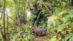 Wild boar trapping skills, finding food for wild boars, survival alone, survival instincts