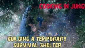 Building a temporary survival shelter in the himalayas and cooking some jungle food#shelter #666