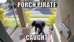HEAD ON A SWIVEL KNOW YOUR SURROUNDINGS PORCH PIRATES ARE IN FULL SWING