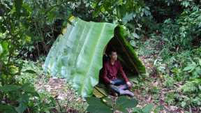 Building a Shelter in the Forest, Survival Skills Alone in the Rainforest