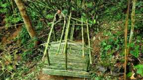 Survival skills, Build a new shelter in the rainforest