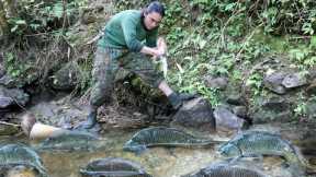 Skill, catch all stream fish, survival alone, green forest life