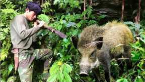FULL VIDEO: 34 days of survival, skills, boar traps, building shelters in the rainforest