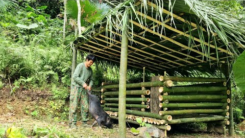 Survival, Skills, Skills to build bamboo houses for wild boars, life in the forest