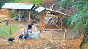 Construction of the wooden factory foundation, The process of building a farm in a new location