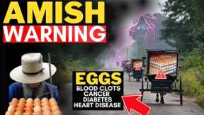 AMISH WARNING: Chickens & Eggs Inflation, Food Shortages | SHTF 2023