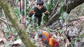 Survival in the forest, How to trap wild chickens, farm in the forest