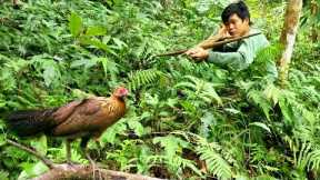 Survival, skills, Making crossbows - hunting wild chickens to survive alone in the forest