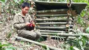 Survival skills, build a bamboo coop for wild chickens, survive alone in the wilderness
