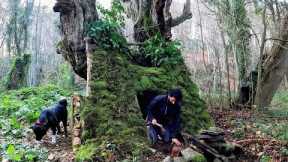 7 Days Solo Survival Camping, Building Warm Bushcraft Shelter, Clay Fireplace Primitive Cooking