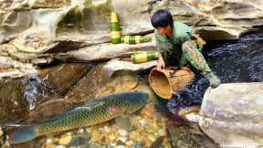 Survival, Skills, skills to catch stream fish, survival in the forest