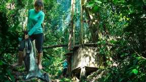 Primitive survival skills in the rainforest, spend the night at the shelter
