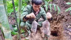 Survival skills, skills, dig and catch bamboo rats & building bamboo houses for bamboo rats