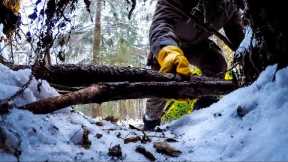 My SECRET of SURVIVAL in the WOODS! Survival Skills for comfortable living off the grid - BUSHCRAFT