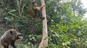 Find Wild Boar In Natural Forest, Survival Challenge & Forest River Skills | Triệu Văn Hào, Part 1