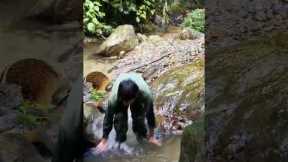 Survival, skills, Journey to catch stream fish, life in the forest part 3