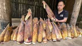 Harvest bamboo shoots at the beginning of the season, It's very big bamboo shoot | Primitive Skills