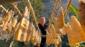 Bamboo shoots Preservation Process | How to make dried bamboo shoots and year-round preservation