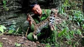 Survival skills, forest leopard detection, forest leopard trap skills, survival alone