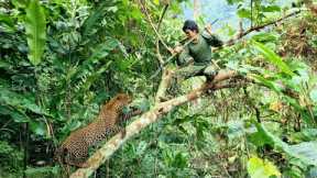 Survival, skills, Attacked by wild animals, quickly find shelter, survival instinctively