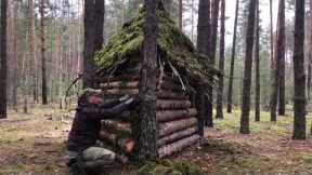 Building a 2-storey Log cabin / Tree house. Survival, bushcraft in the wilderness. Unexpected find