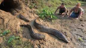Survival skills in the jungle, Primitive technology, Catch many big fish in pit underground