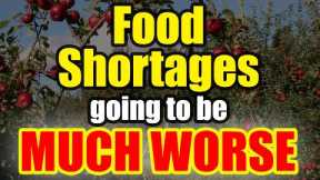 Act NOW – Food Shortages about to get MUCH WORSE – Be READY!