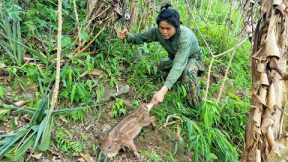 Survival skills, wild boar trap skills and survival in wild forests, survival skills